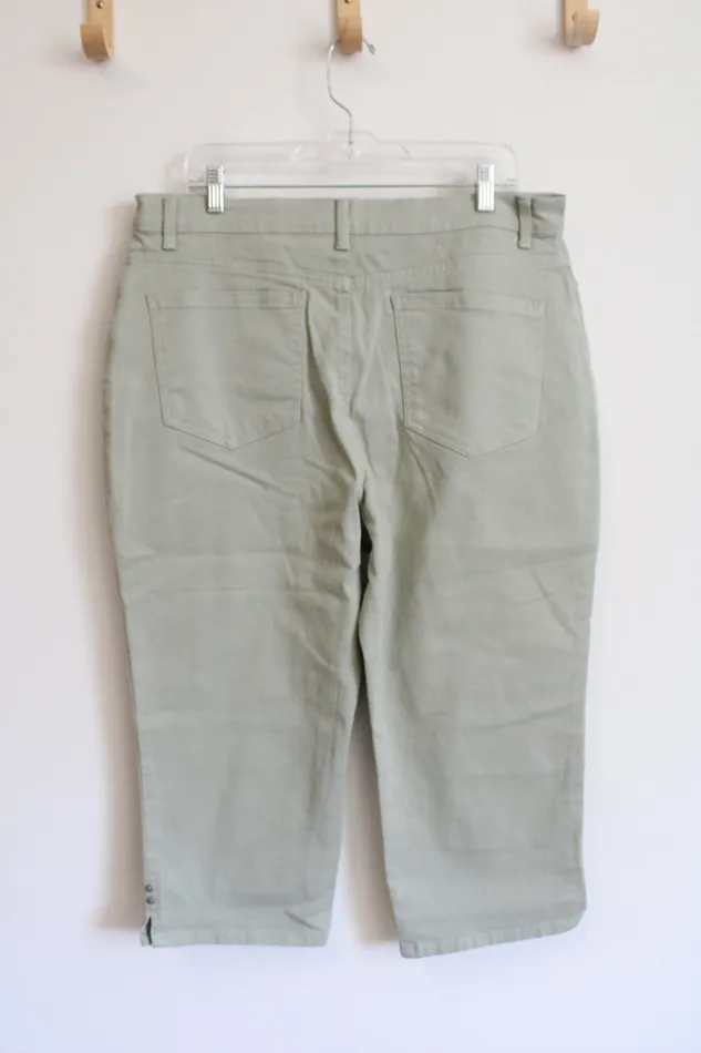 Gloria Vanderbilt Earrings Gloria Vanderbilt Muted Green AllAround Slimming Effect Amanda Capri Pants 16