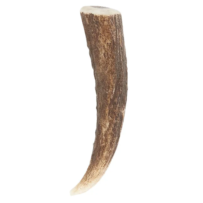 Earrings Charles Buyers Staghorn Tip Kilt Pin