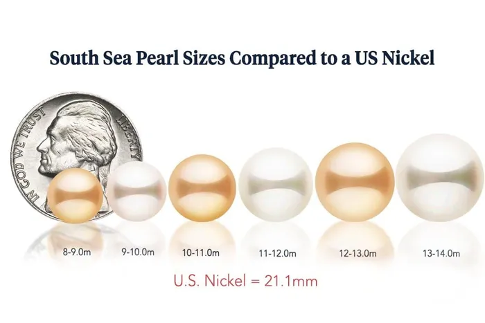 Golden South Sea Pearl Earrings 110120mm SPT Earrings