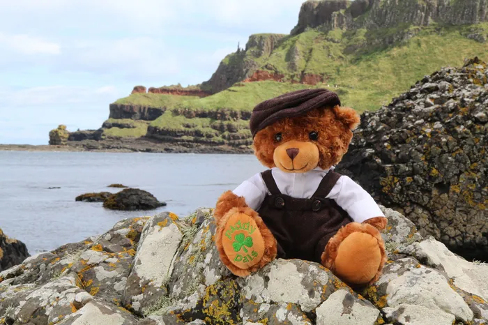 Paddy Pals Earrings Praic the Irish Farmer Teddy Bear